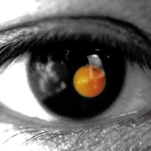 范冰冰的下面又大又肥又黄
