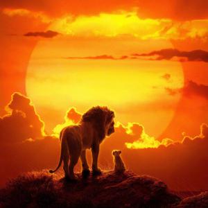 范冰冰的下面又大又肥又黄
